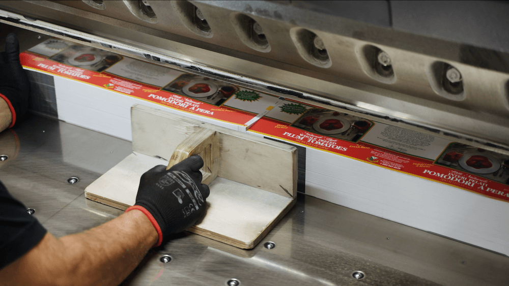 training video production industrial procedure 11e65aae Worker demonstrating an industrial printing procedure for training video production